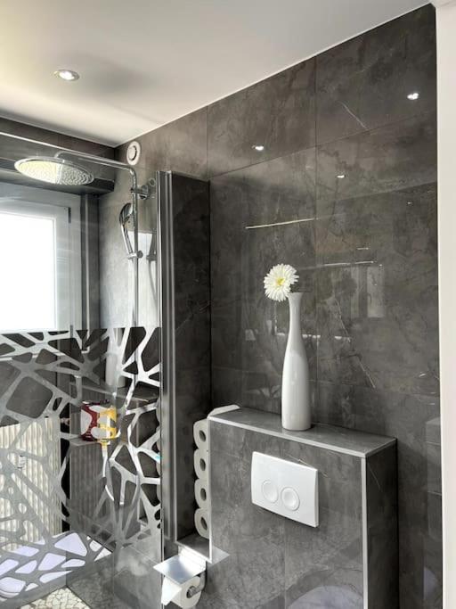Superbe Appartement Lumineux Avec Parking Gratuit فينتزنهايم المظهر الخارجي الصورة