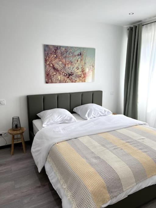 Superbe Appartement Lumineux Avec Parking Gratuit فينتزنهايم المظهر الخارجي الصورة