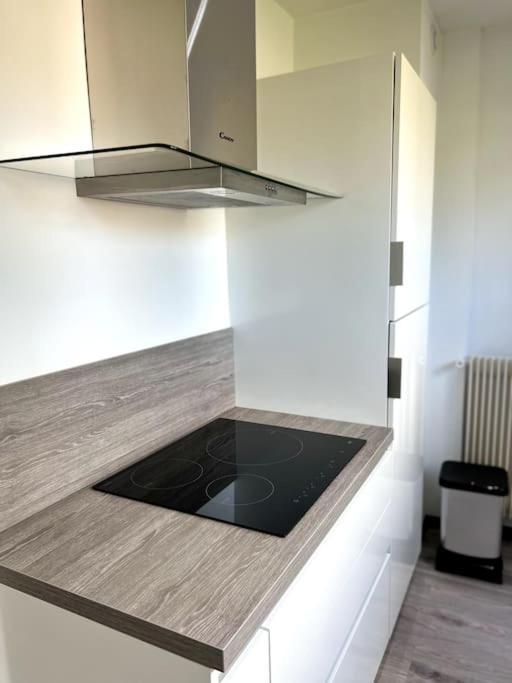 Superbe Appartement Lumineux Avec Parking Gratuit فينتزنهايم المظهر الخارجي الصورة
