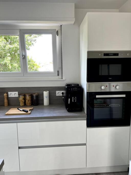 Superbe Appartement Lumineux Avec Parking Gratuit فينتزنهايم المظهر الخارجي الصورة