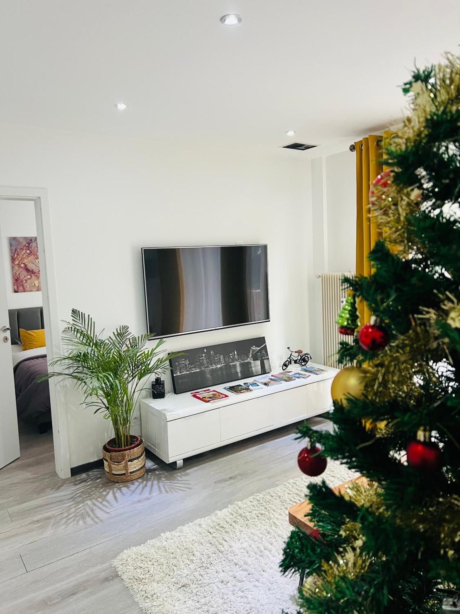Superbe Appartement Lumineux Avec Parking Gratuit فينتزنهايم المظهر الخارجي الصورة